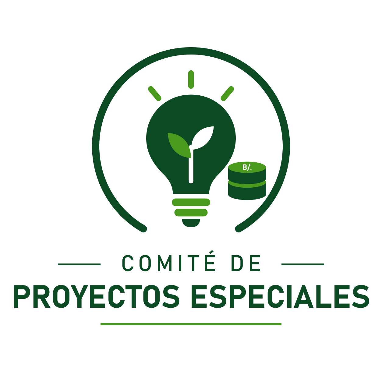 Comité de Proyectos Especiales